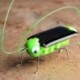 Szín: zöld - Solar Grasshopper 2022, Solar Grasshopper, robotjátékok, alapvető kütyük, ajándékok, napelemes játékok,