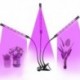 Szín: 3 ág - LED Grow Light USB fitolámpa teljes növekedési spektrumú kertészeti fitolámpa vezérléssel beltéri