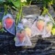 Sz__n_-20x30cm-_100db_---Gy__m__lcsv__d__-t__sk__k-h__z__zsin__rral-Kerti-n__v__nyh__l__s-v__d__t__ska-paradicsomhoz-Sz__l__